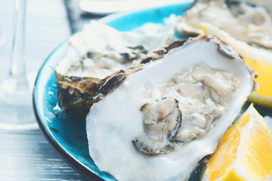 Low Country Oyster Festival