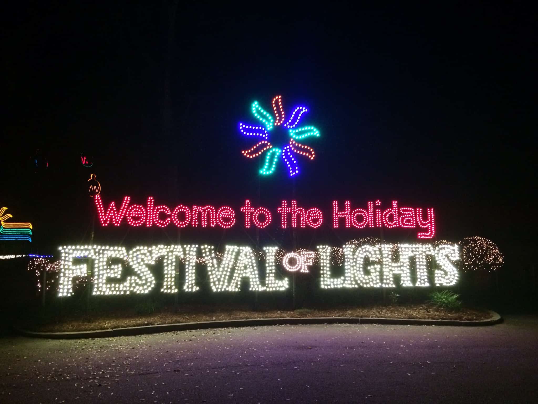 Holiday Lights Tours Charleston